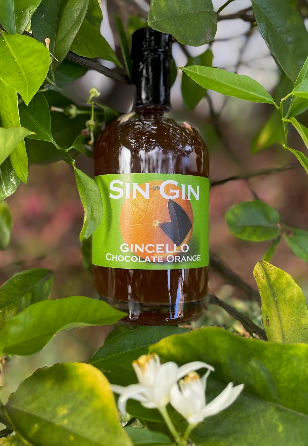 Chocolate Orange Gincello - Limited release